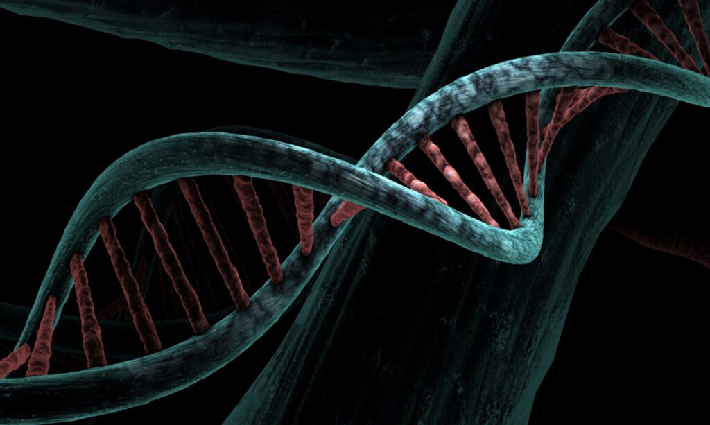 Verlag Dissertationen Habilitationen Open Access Life Sciences Biologie, Medizin Humanmedizin Zahnmedizin Tiermedizin Biomedizin Pharmazie Biochemie Chemie Molekularbiologie Biophysik Bioinformatik Humanbiologie
